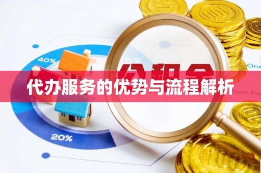 普格代办服务的优势与流程解析