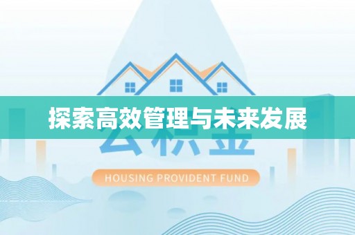 普格探索高效管理与未来发展