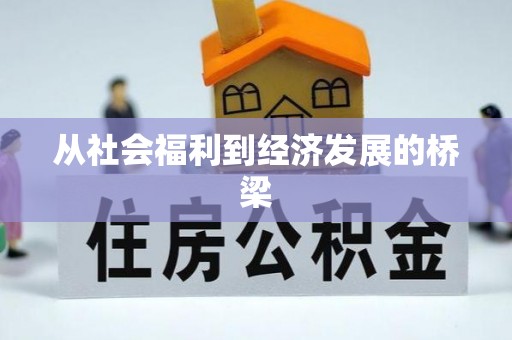 普格从社会福利到经济发展的桥梁