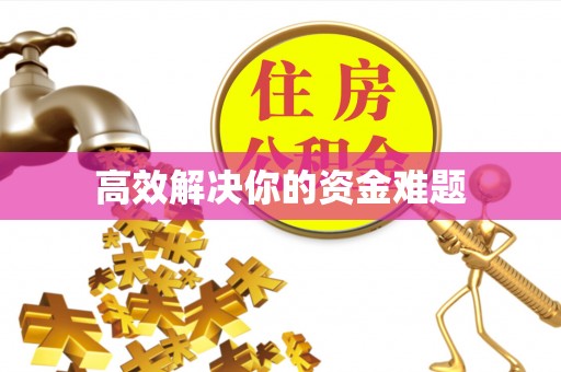 普格高效解决你的资金难题