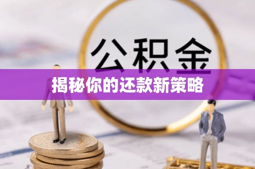 普格揭秘你的还款新策略