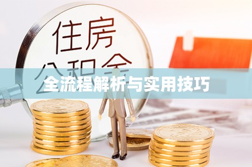 普格全流程解析与实用技巧