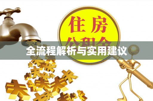普格全流程解析与实用建议