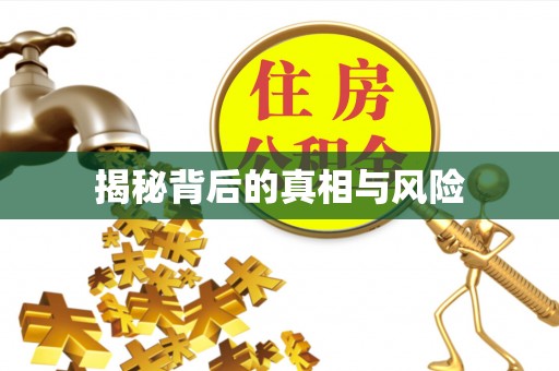 普格揭秘背后的真相与风险