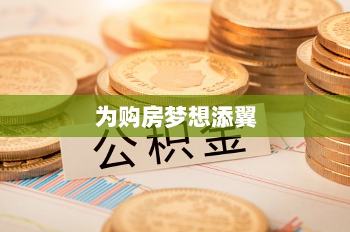 普格为购房梦想添翼
