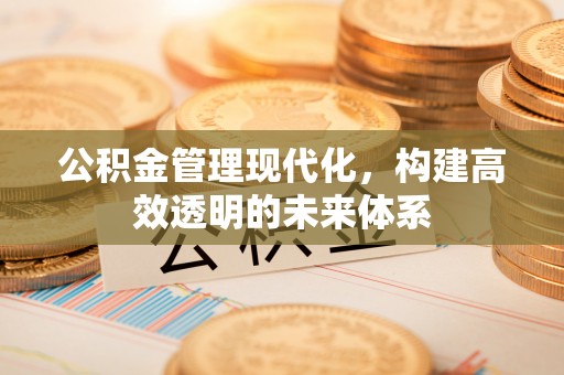 普格公积金管理现代化，构建高效透明的未来体系