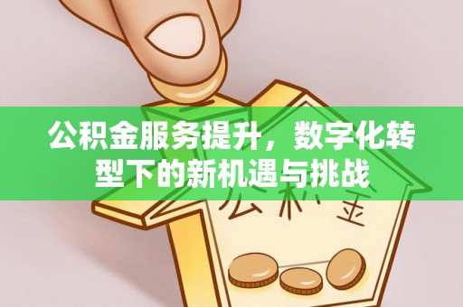 普格公积金服务提升，数字化转型下的新机遇与挑战