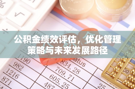 普格公积金绩效评估，优化管理策略与未来发展路径