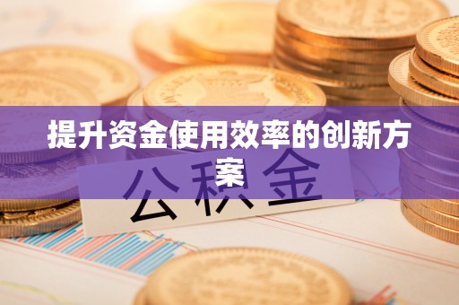普格提升资金使用效率的创新方案