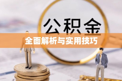 普格全面解析与实用技巧