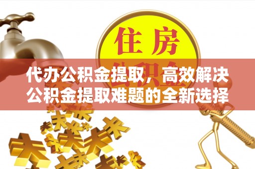 普格代办公积金提取，高效解决公积金提取难题的全新选择