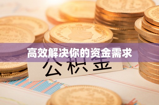 普格高效解决你的资金需求