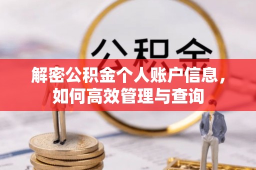 普格解密公积金个人账户信息，如何高效管理与查询
