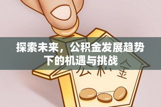 普格探索未来，公积金发展趋势下的机遇与挑战