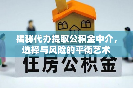 普格揭秘代办提取公积金中介，选择与风险的平衡艺术