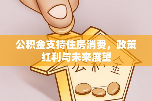 普格公积金支持住房消费，政策红利与未来展望