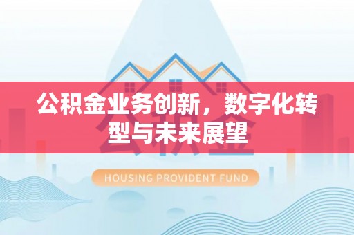 普格公积金业务创新，数字化转型与未来展望