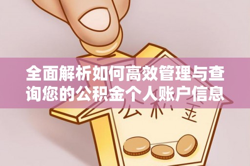 普格全面解析如何高效管理与查询您的公积金个人账户信息