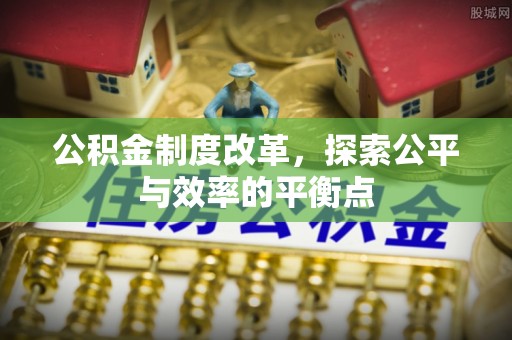 普格公积金制度改革，探索公平与效率的平衡点