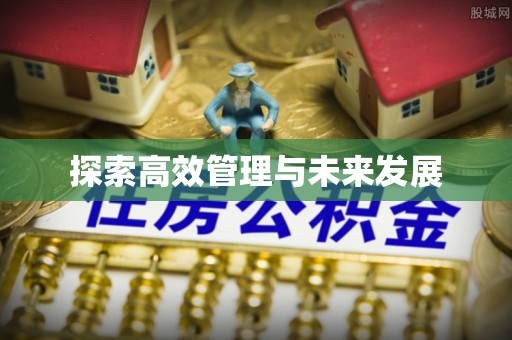 普格探索高效管理与未来发展