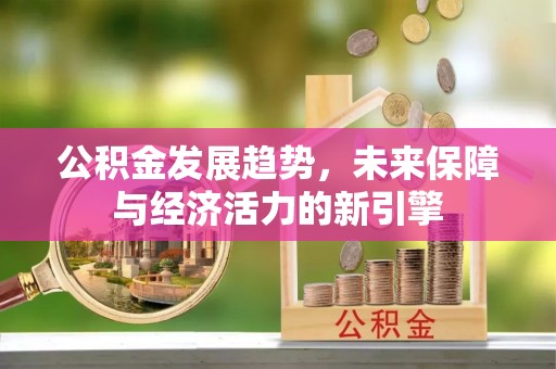 普格公积金发展趋势，未来保障与经济活力的新引擎