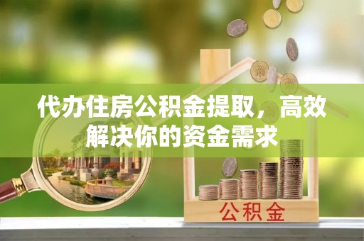 普格代办住房公积金提取，高效解决你的资金需求