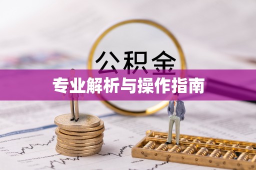 普格专业解析与操作指南