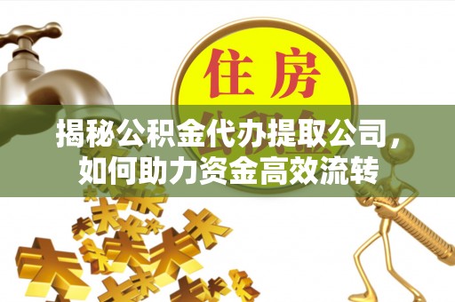 普格揭秘公积金代办提取公司，如何助力资金高效流转