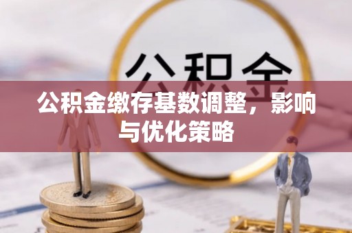 普格公积金缴存基数调整，影响与优化策略