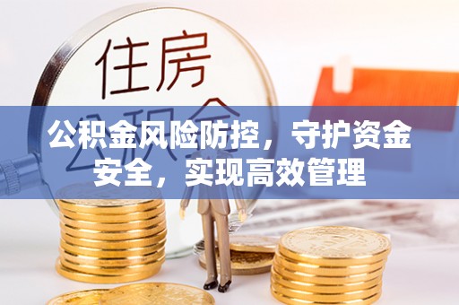 普格公积金风险防控，守护资金安全，实现高效管理