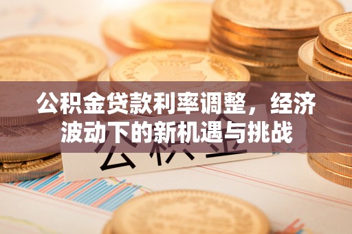 普格公积金贷款利率调整，经济波动下的新机遇与挑战