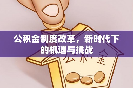 普格公积金制度改革，新时代下的机遇与挑战