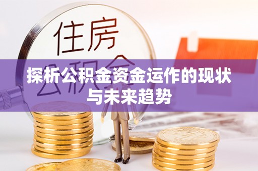 普格探析公积金资金运作的现状与未来趋势