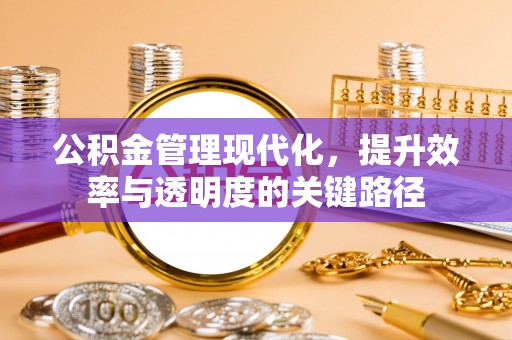 普格公积金管理现代化，提升效率与透明度的关键路径