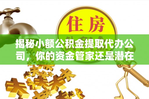 普格揭秘小额公积金提取代办公司，你的资金管家还是潜在风险？