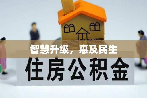 普格智慧升级，惠及民生
