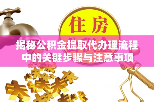 普格揭秘公积金提取代办理流程中的关键步骤与注意事项