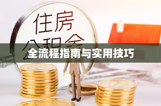 普格全流程指南与实用技巧