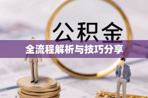 普格全流程解析与技巧分享