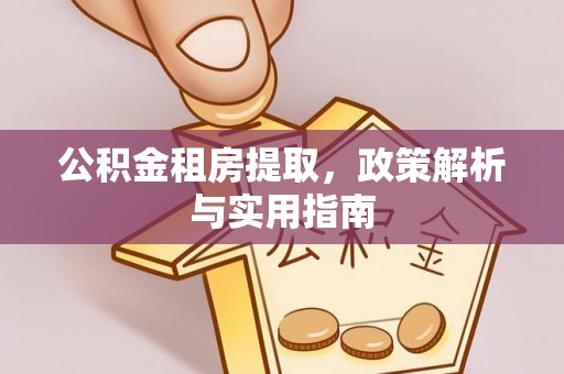 普格公积金租房提取，政策解析与实用指南