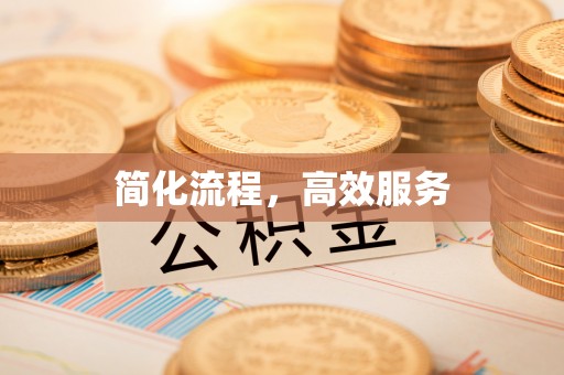 普格简化流程，高效服务