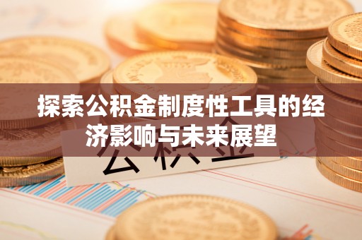 普格探索公积金制度性工具的经济影响与未来展望
