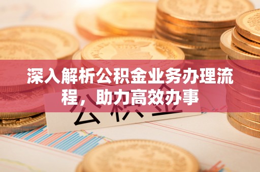 普格深入解析公积金业务办理流程，助力高效办事
