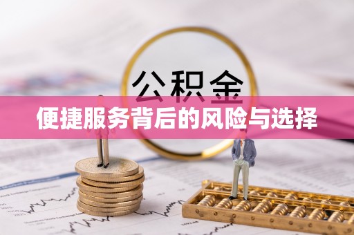 普格便捷服务背后的风险与选择