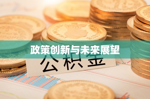 普格政策创新与未来展望