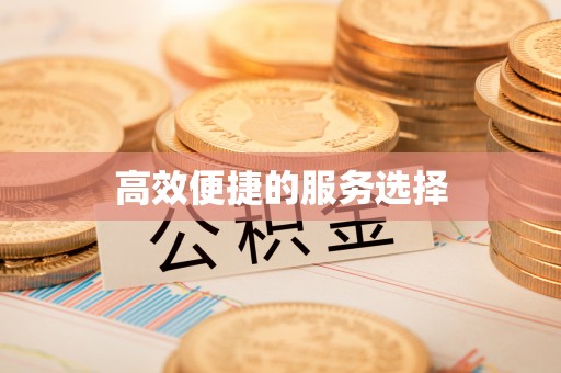 普格高效便捷的服务选择